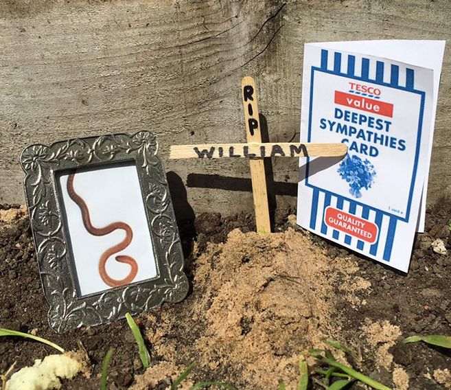 William Worm's RIP image William Worm