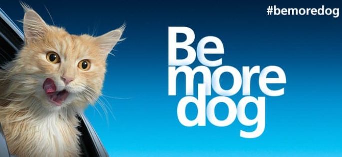 Be more dog by O2 Be more dog by O2