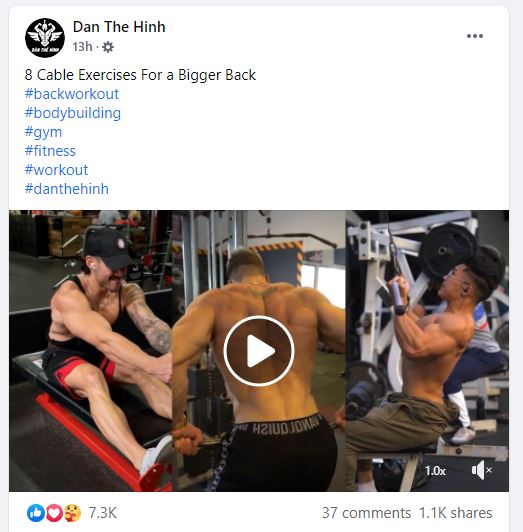 Dan-The-Hinh Dan-The-Hinh