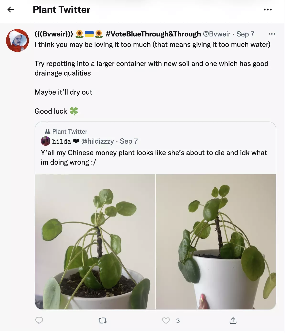 plant twitter plant twitter