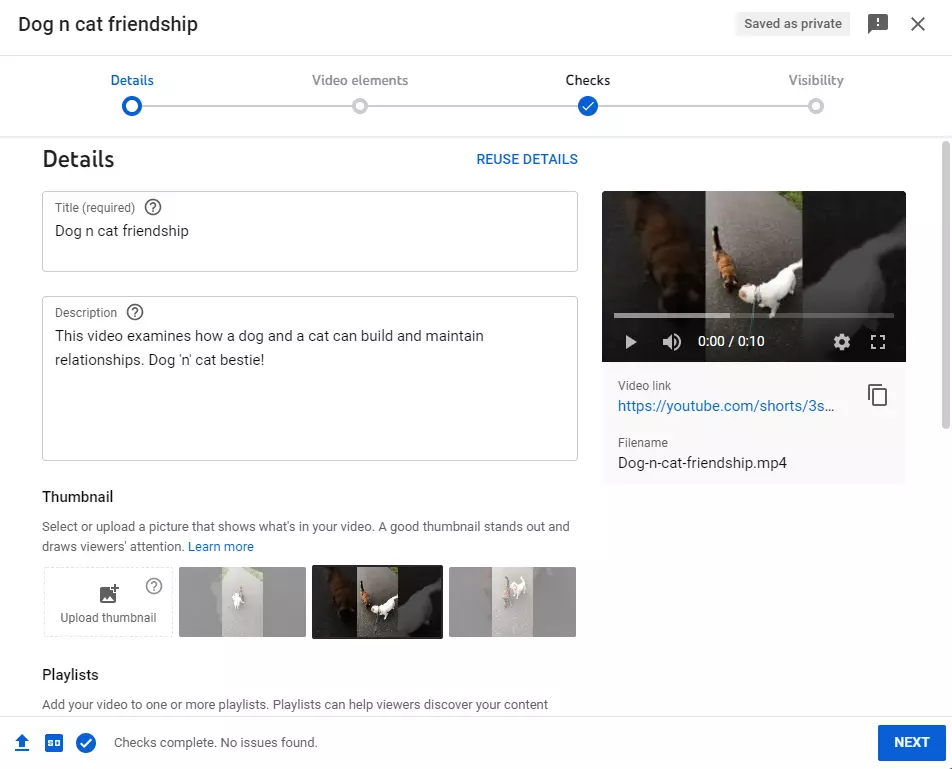 Enter Details of Your Video Enter Details of Your Video