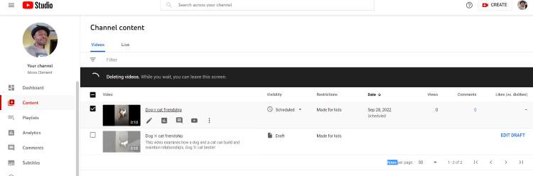 delete video delete video
