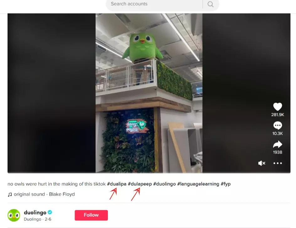 duolingo duolingo