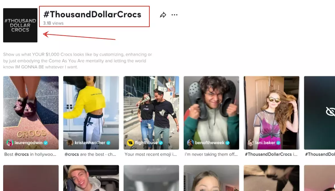thousanddollarcrocs thousanddollarcrocs