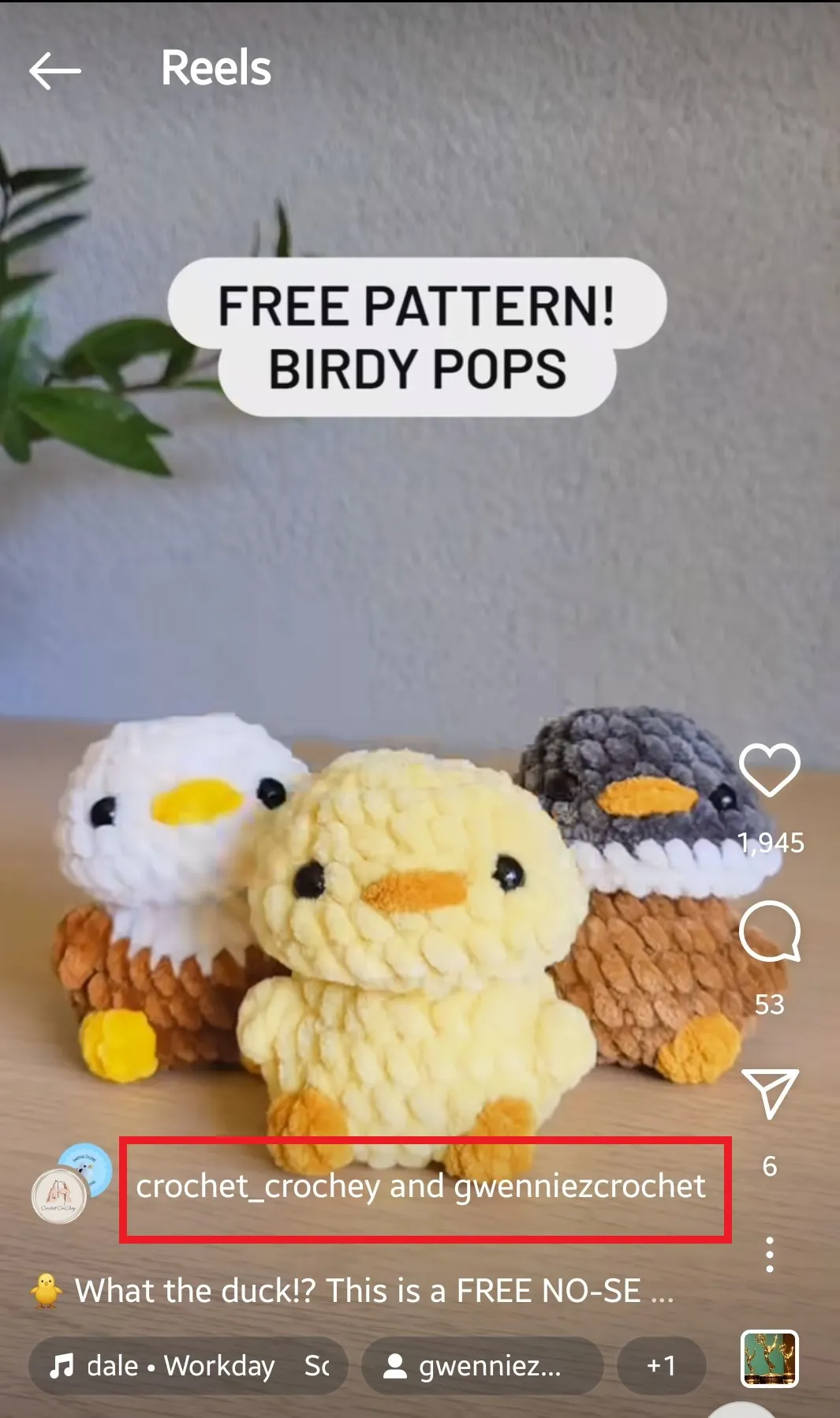 free pattern birdy pops free pattern birdy pops