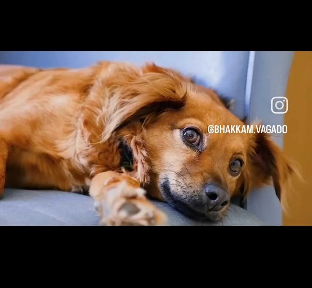 watermark of Instagram watermark of Instagram