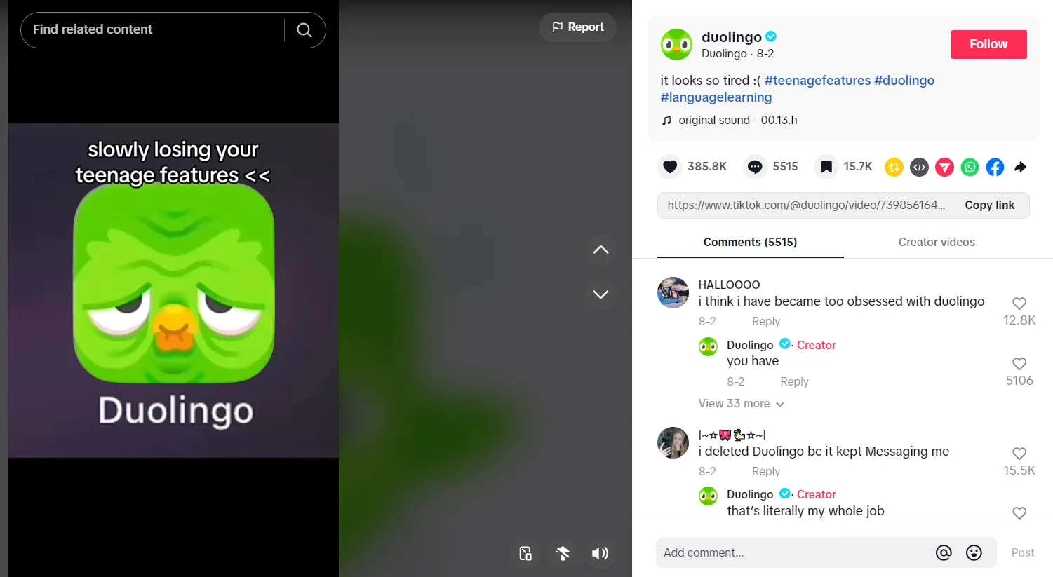 duolingo duolingo