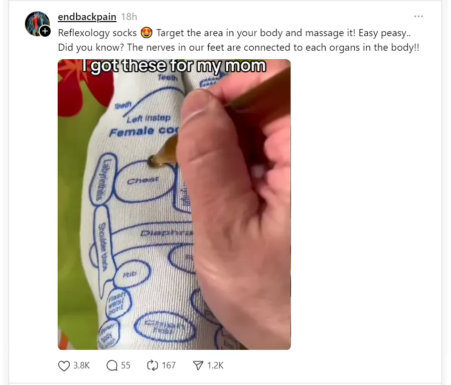 endbacjpain endbacjpain