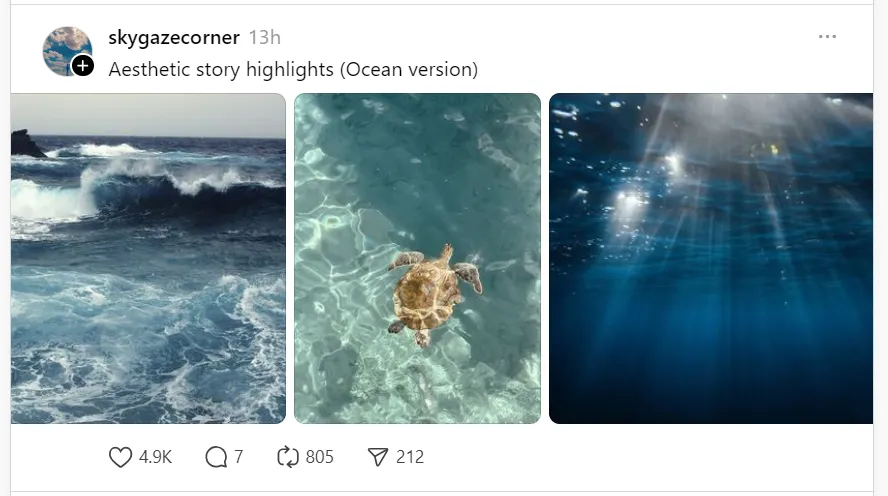 skygazecorner skygazecorner