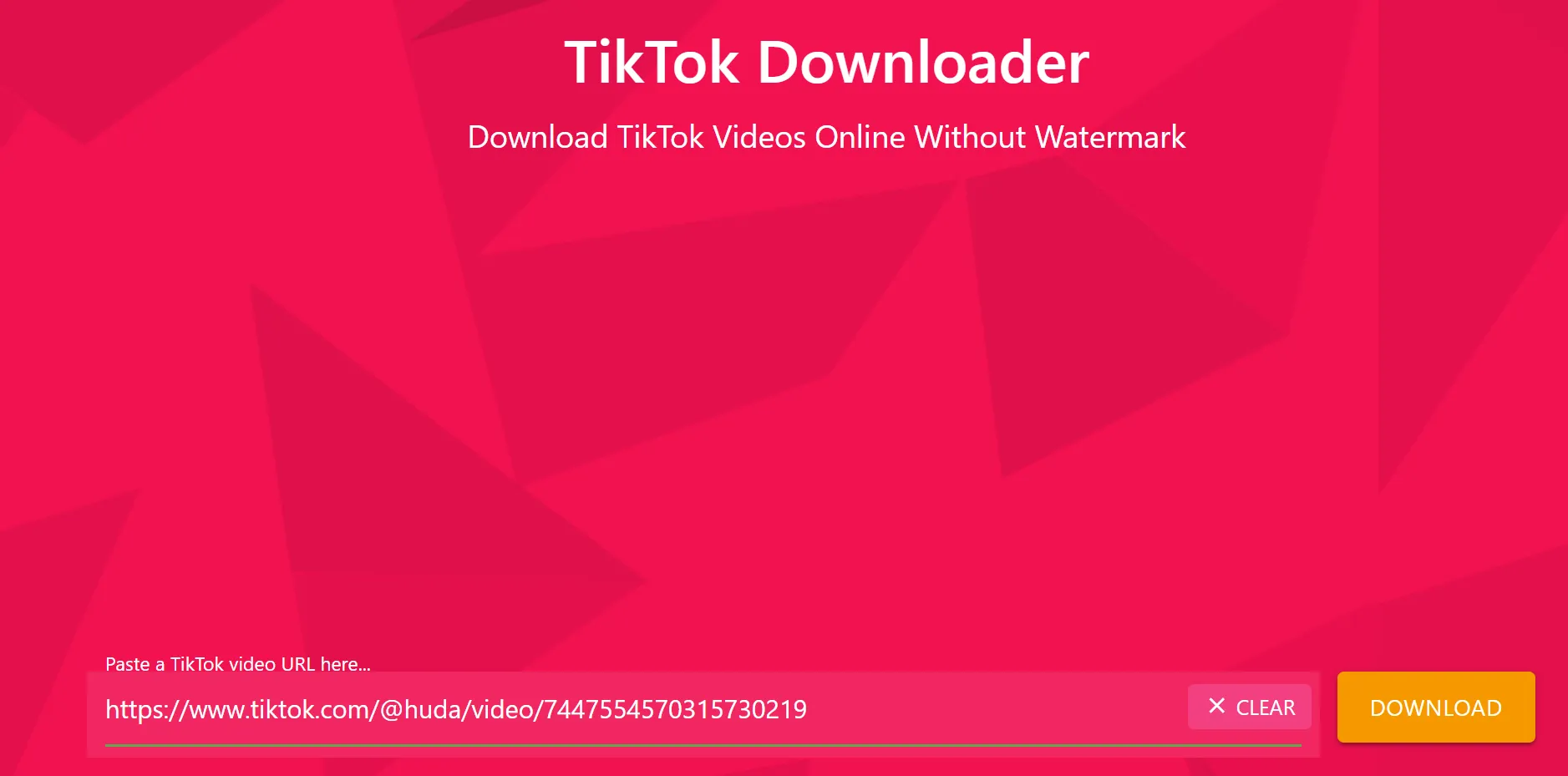 TikTok video downloader main screen TikTok video downloader main screen